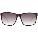 Guess Brown Men Sunglasses GU-1042465