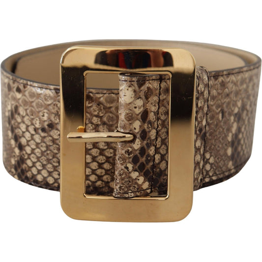 Dolce & Gabbana Brown Exotic Wide Waist Leather Gold Metal Buckle Belt WMB128 - 65