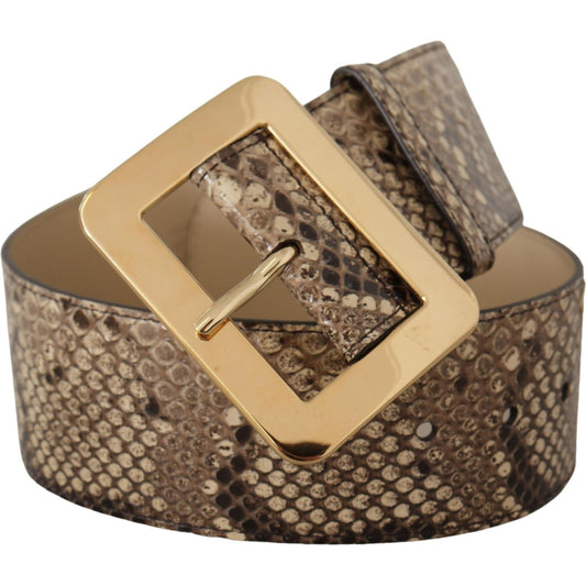 Dolce & Gabbana Brown Exotic Wide Waist Leather Gold Metal Buckle Belt WMB128 - 65