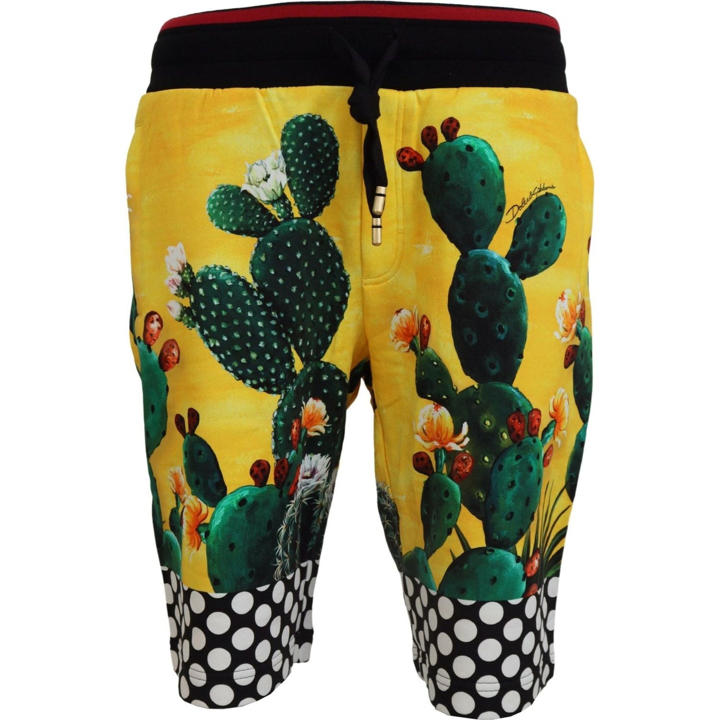 Dolce & Gabbana Multicolor Cactus Print Cotton Sweat Shorts