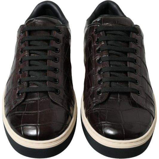 Dolce & Gabbana Brown Croc Exotic Leather Men Casual Sneakers Shoes MV5413-39