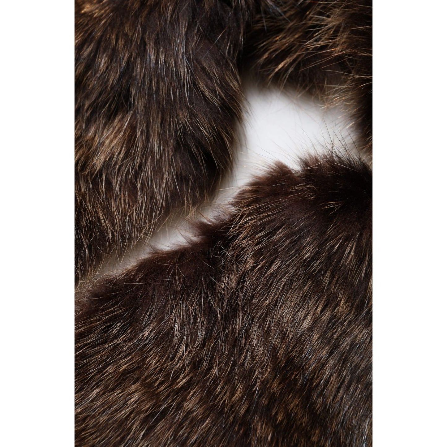 Dolce & Gabbana Brown Raccoon Fur Neck Warmer Winter Scarf