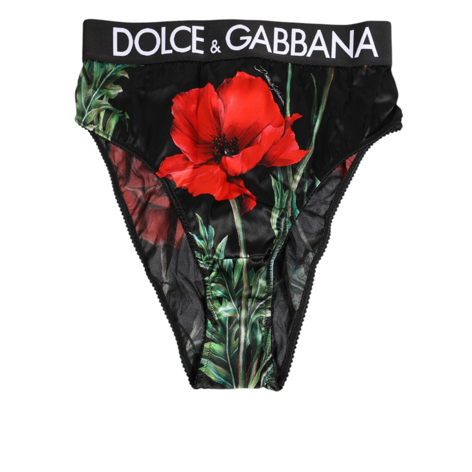 Dolce & Gabbana Black Floral Print High Waist Sheer Mesh Underwear