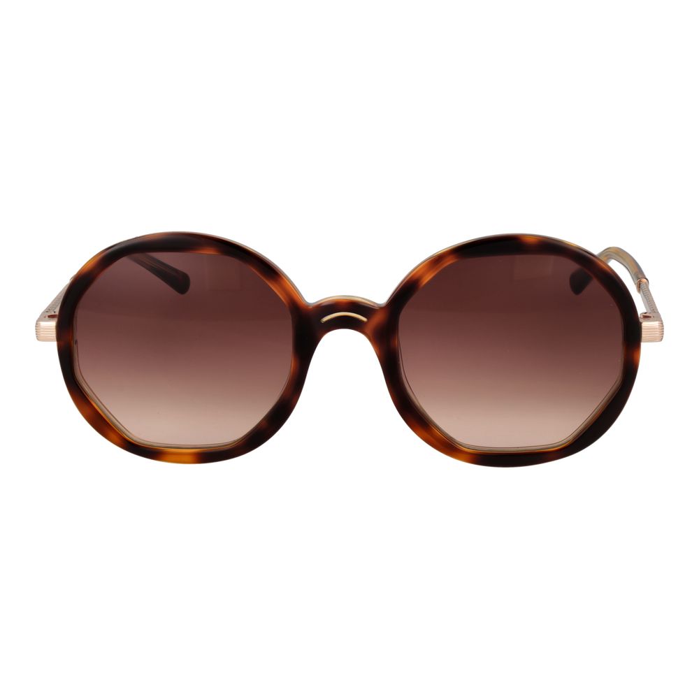 Sandro Brown Acetate Sunglasses for women with brown gradient lenses and full-rim acetate frame.