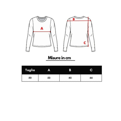 Corneliani Gray Wool T-Shirt size chart with measurements A:53cm, B:45cm, C:66cm for size 50.